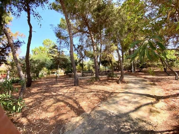 Apartamento Flamingos With 2 Swimming Pool Com Check In E Check Out Ao Domingo Em Julho E Agosto Albufeira